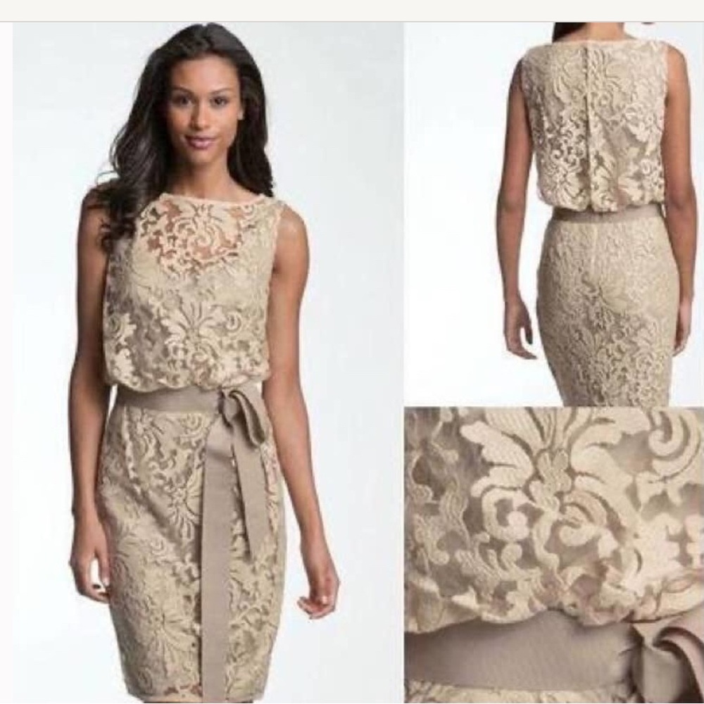 Tadashi Shoji show stopping lace cocktail dress in taupe/champagne